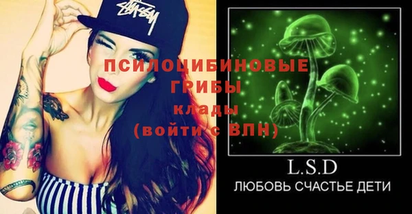 тгк Алзамай