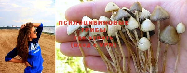 соль ск Алексин